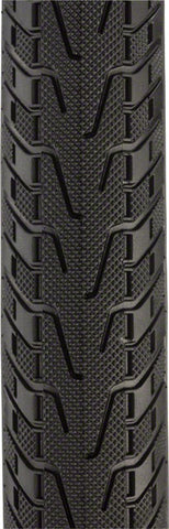 Panaracer Pasela ProTite Tire - 700 x 23, Clincher, Folding, Black/Tan, 60tpi