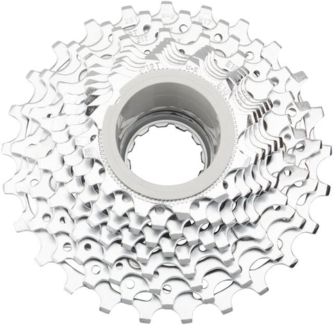 SRAM PG-1050 Cassette - 10 Speed, 12-25t, Silver