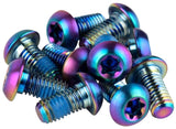 SRAM Titanium T25 Rotor Bolt Kit - Rainbow, Set of 12